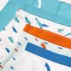 Boys Underwear Cars and Stripes