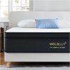 Foam Mattress Queen