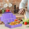 Six Compartment Lunch Box (Fork & Spoon Included)