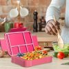 Six Compartment Lunch Box (Fork & Spoon Included)