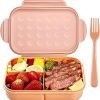 Triple Compartment Lunch Box