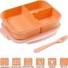 Triple Compartment Lunch Box