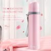 Thermos and Flask for Hot and Cold Drinks