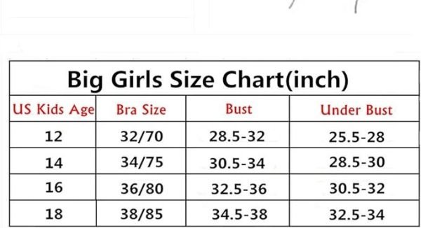 Teen Girl's White, Black and Gray Wirefree Breathable Cotton Bras (12-18 Years) - Image 6