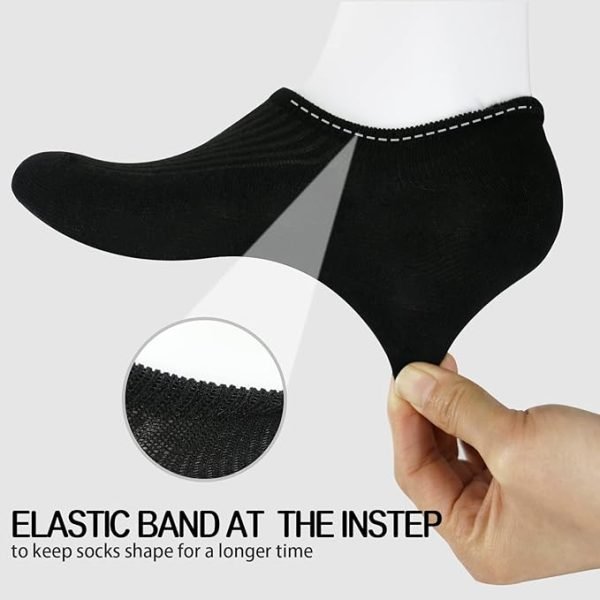 Woman's No Show Cotton Socks (Set of 6)